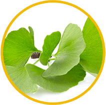 WealthGenix ingredients 